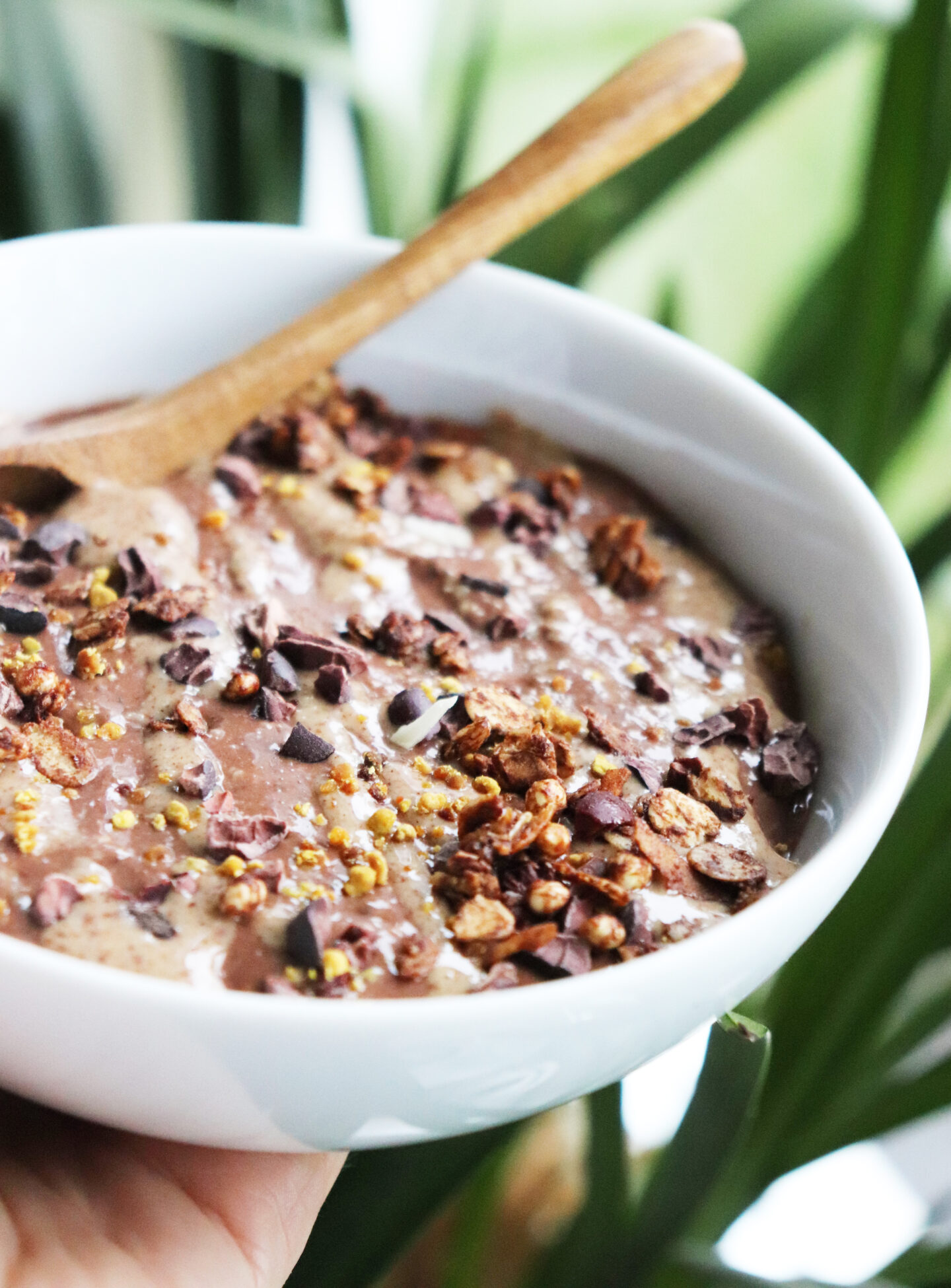 Chocolate Chia Pudding Which Will Make You like Chia Pudding