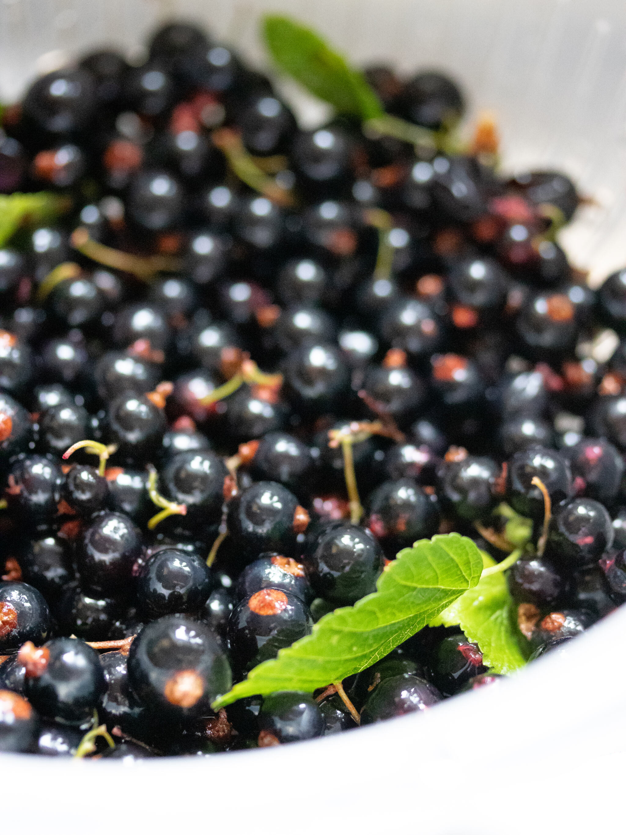 Currant cherry cake | Women's Weekly Food